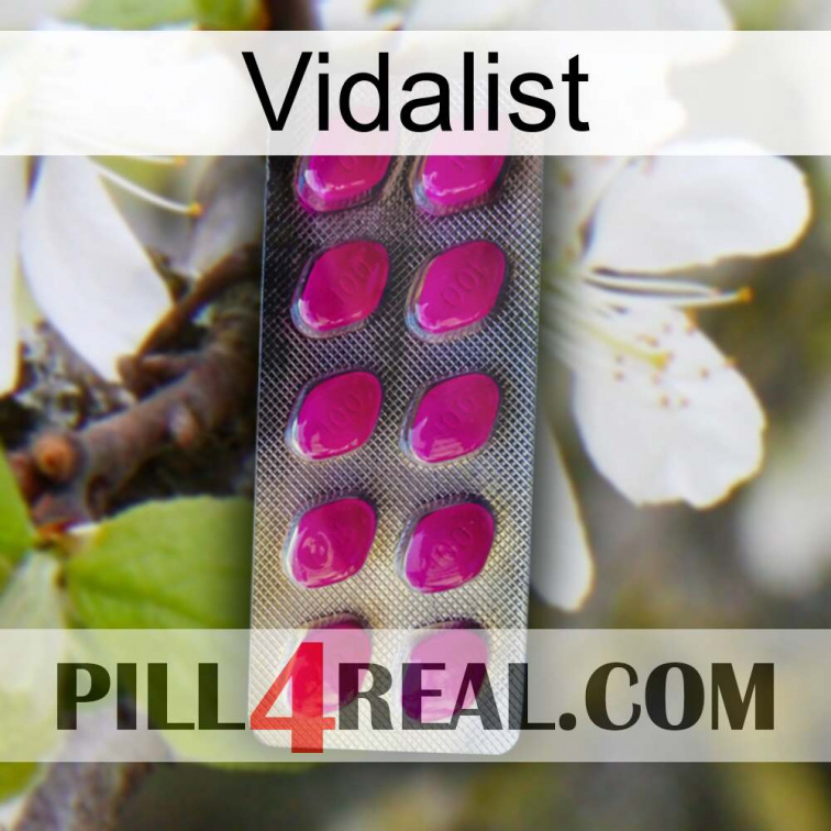 Vidalist 09